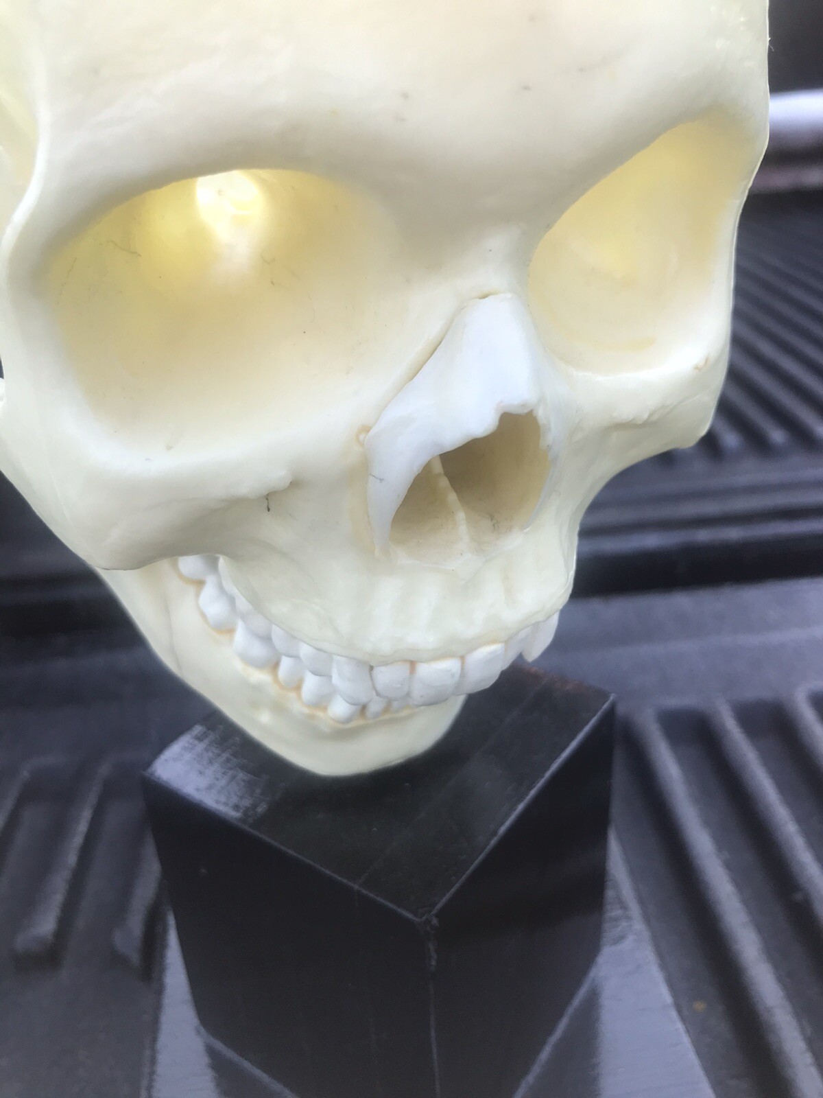 Human Skull Model,4 Part Human Brain with stand