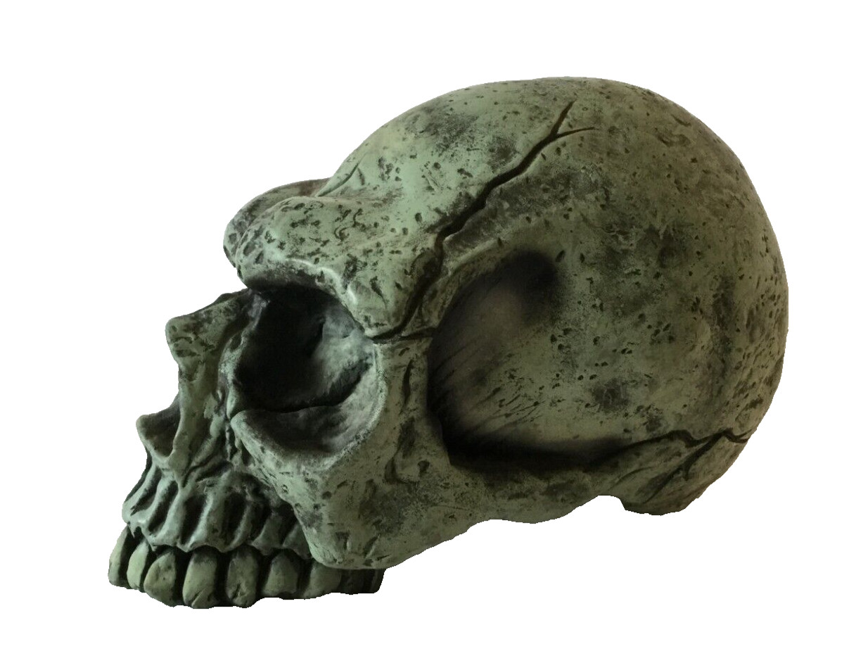 SEASONS Skull Halloween Decoration Glow Prop LL