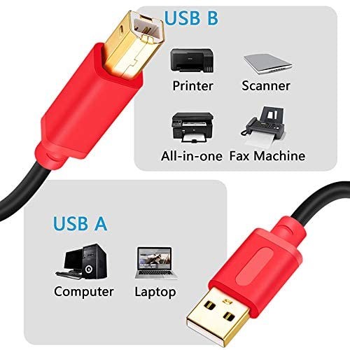 Tan QY Printer Cable 30Ft, USB 2.0 High Speed Gold-Plated Red, 30Ft