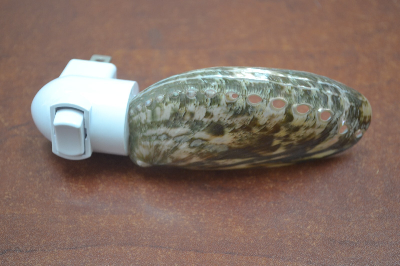 GREEN ABALONE SHELL NIGHT LIGHT BATHROOM KITCHEN #9035