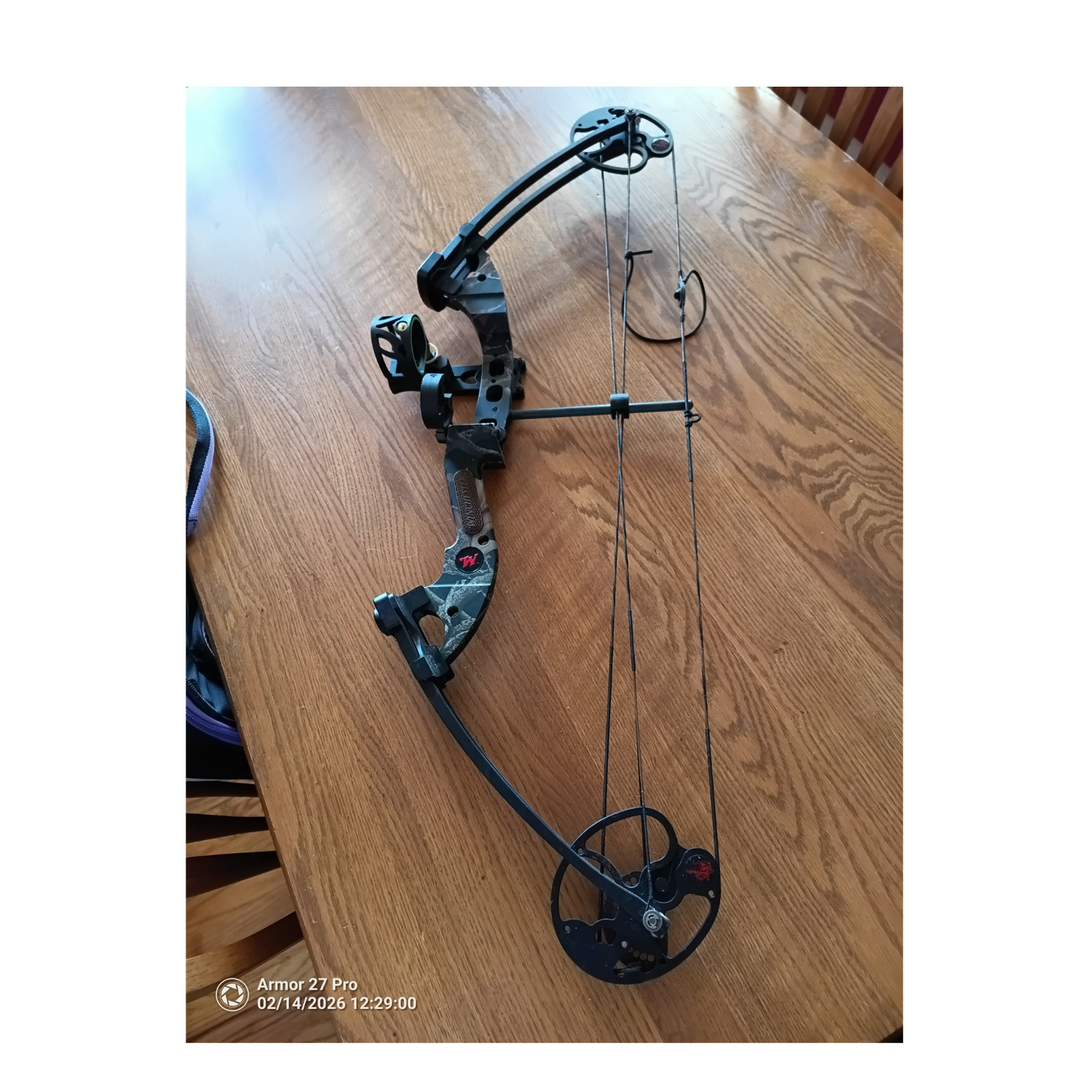 Winchester Compound Bow