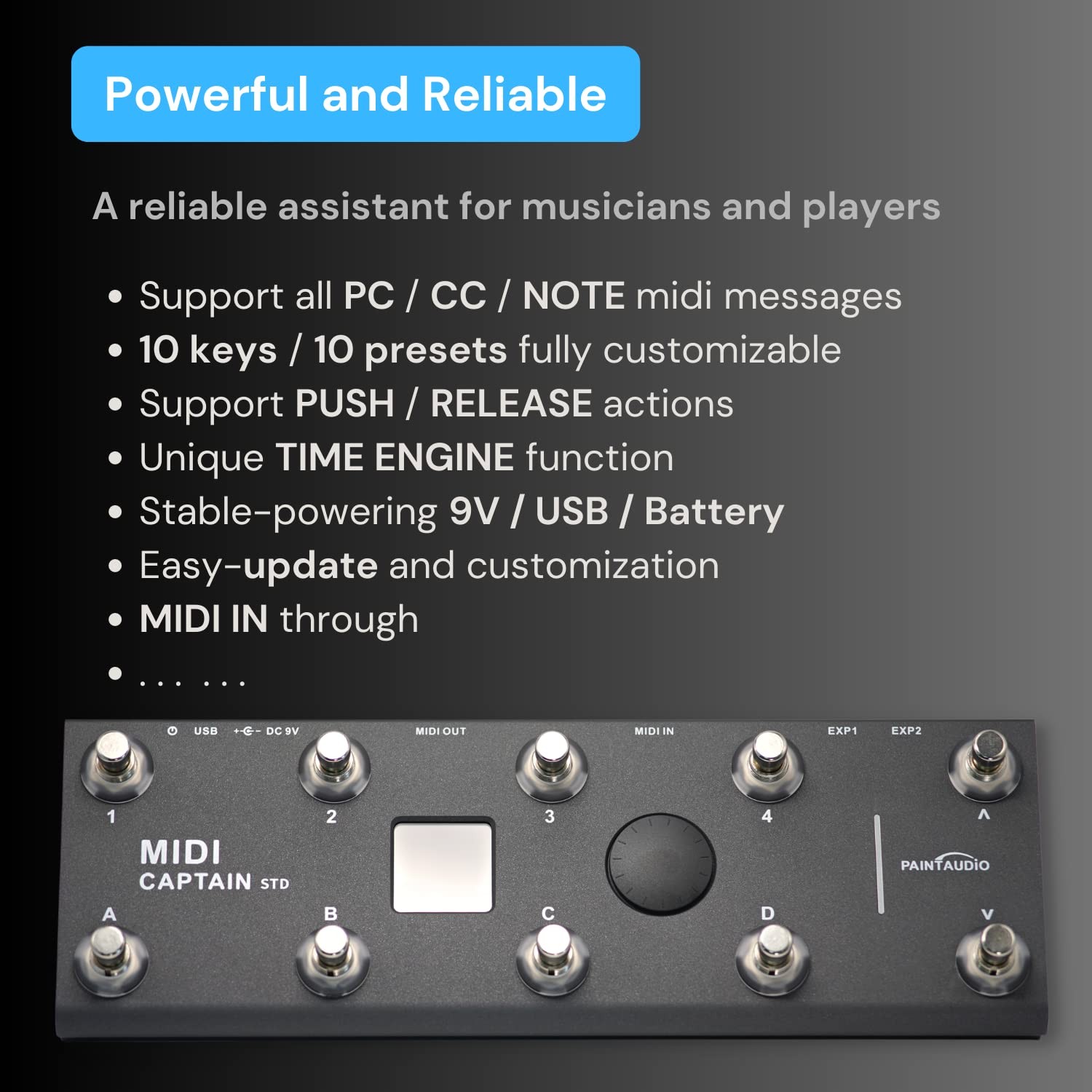PAINTAUDIO MIDI Captain Foot Controller Multi-Effects Keyboards Black