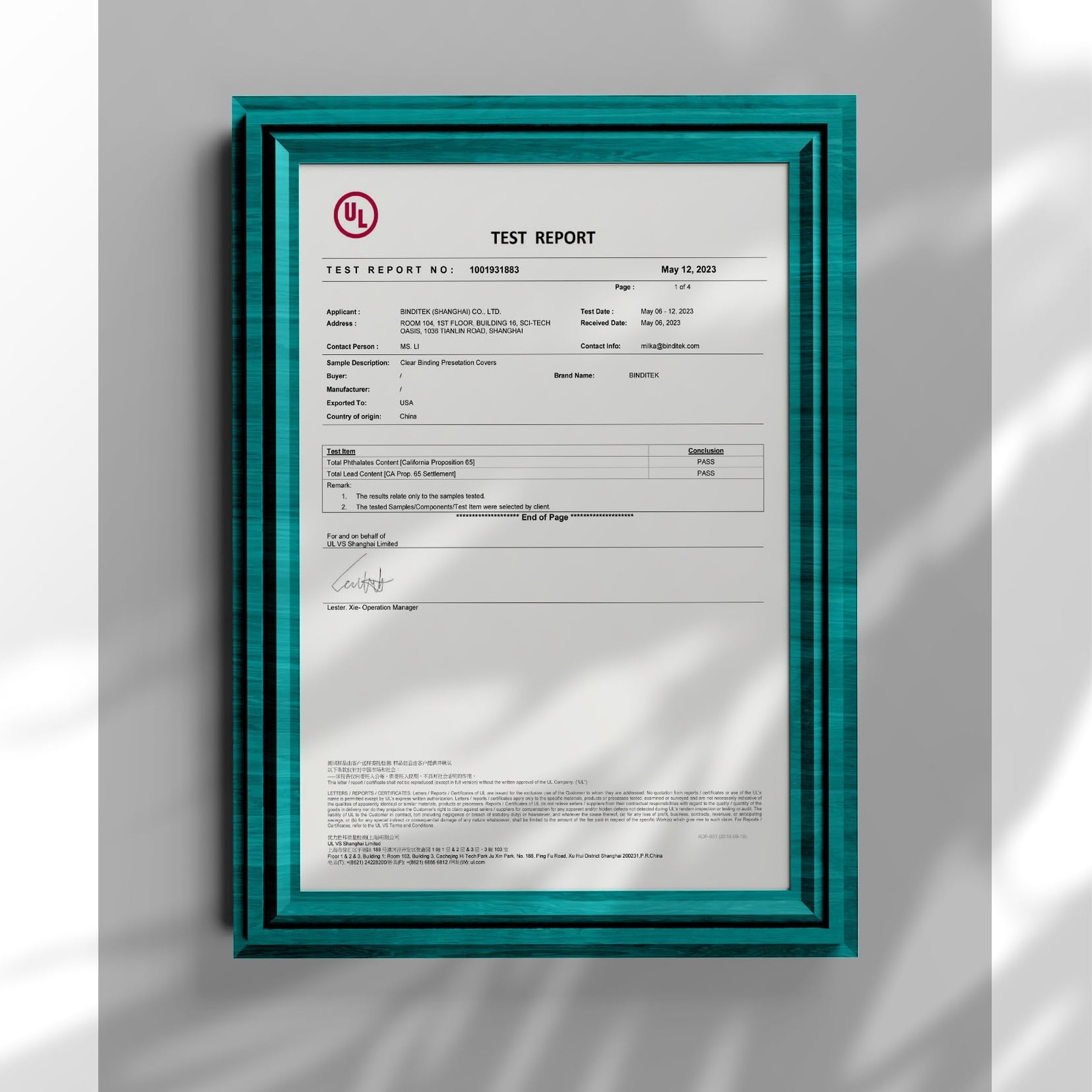 Binditek 200 Pack 6 Mil PVC Clear Binding Covers, 8.5 X 11 In, Letter Size,