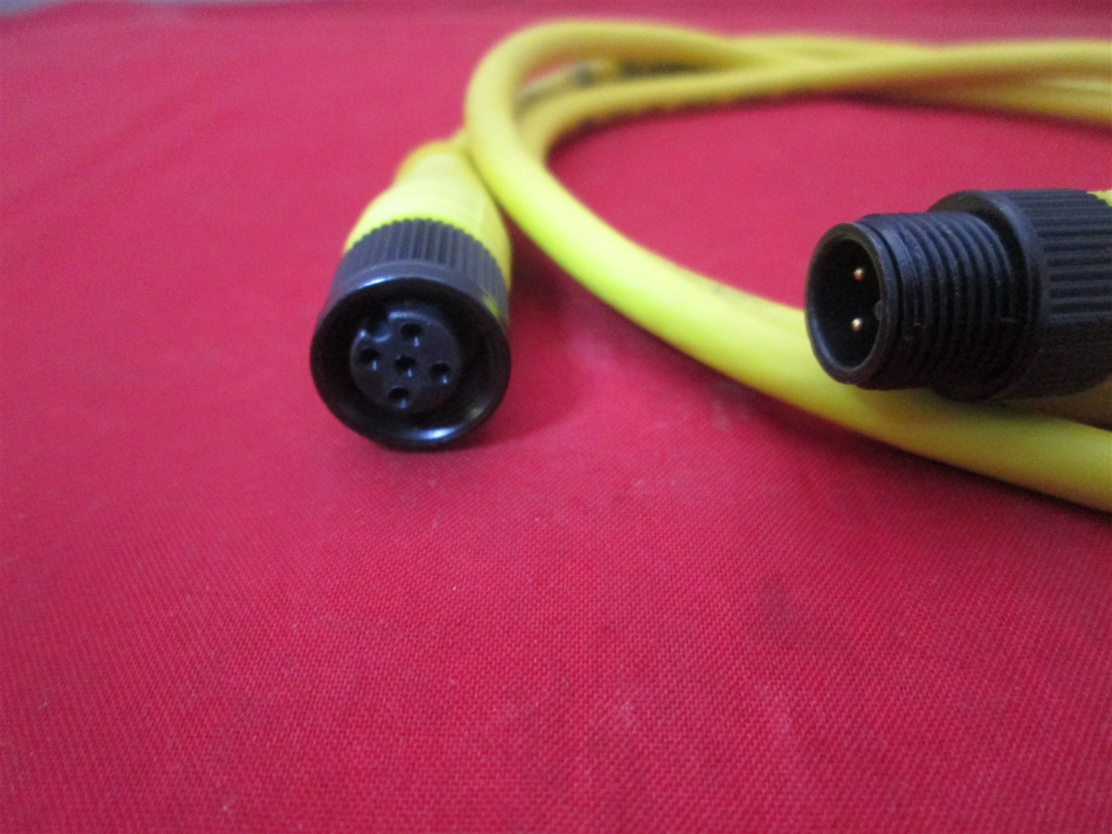 Balluff C04EEL04TY010M Cable