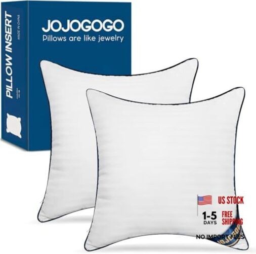 22" x 22" (Pack of 2) 22x22 Indoor Pillow Inserts Set of 2 (Not Waterproof)