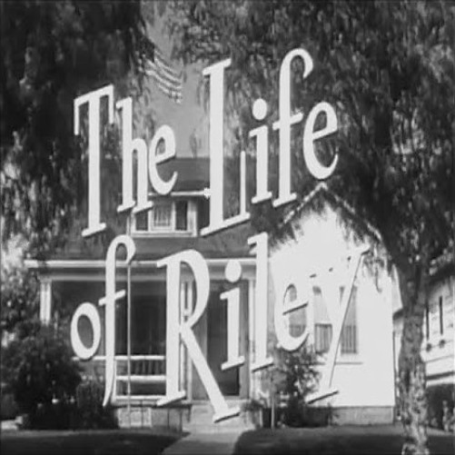 The Life Of Riley DVD Case - Buy 2, Get 1 Free
