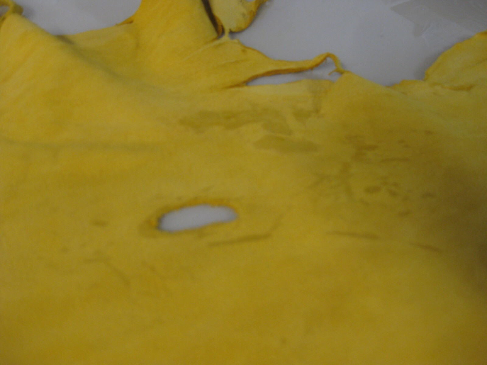 Buffed Deer Leather #0016459 Row 144
