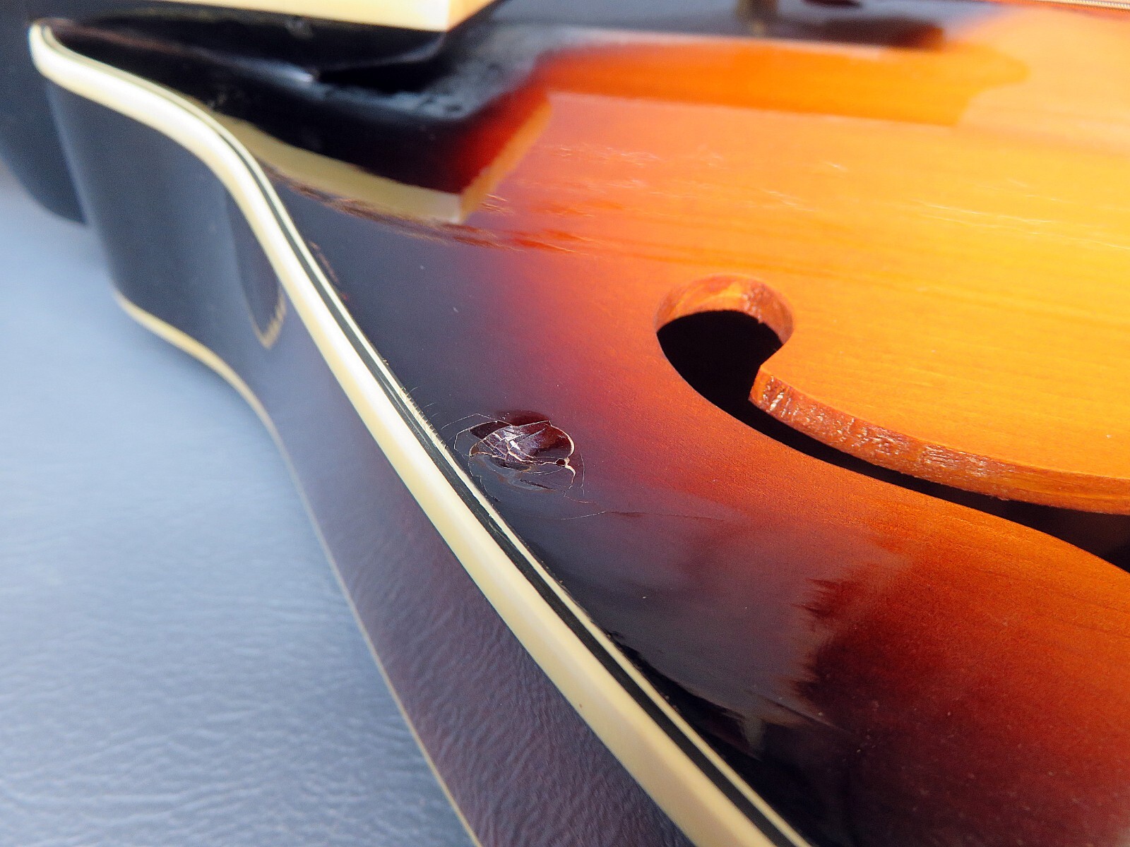 Mandolin Vester