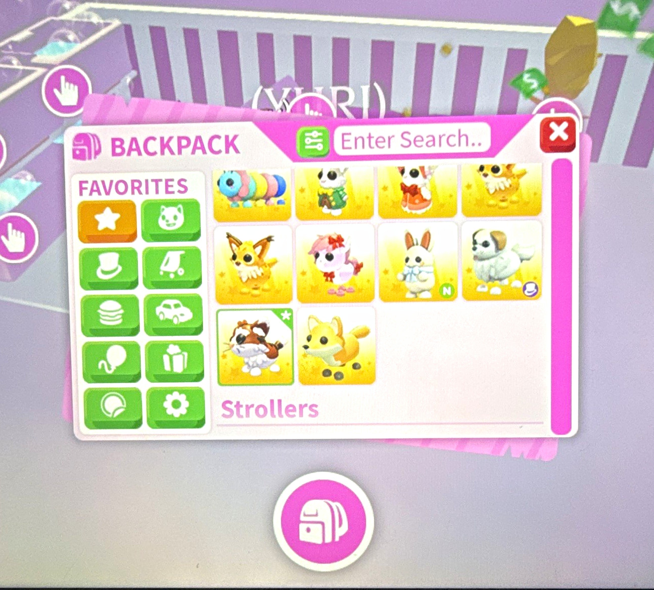Adopt Me! Munchkin Cat In-Game Digital Pet Game Item/Asset - Post-Teen
