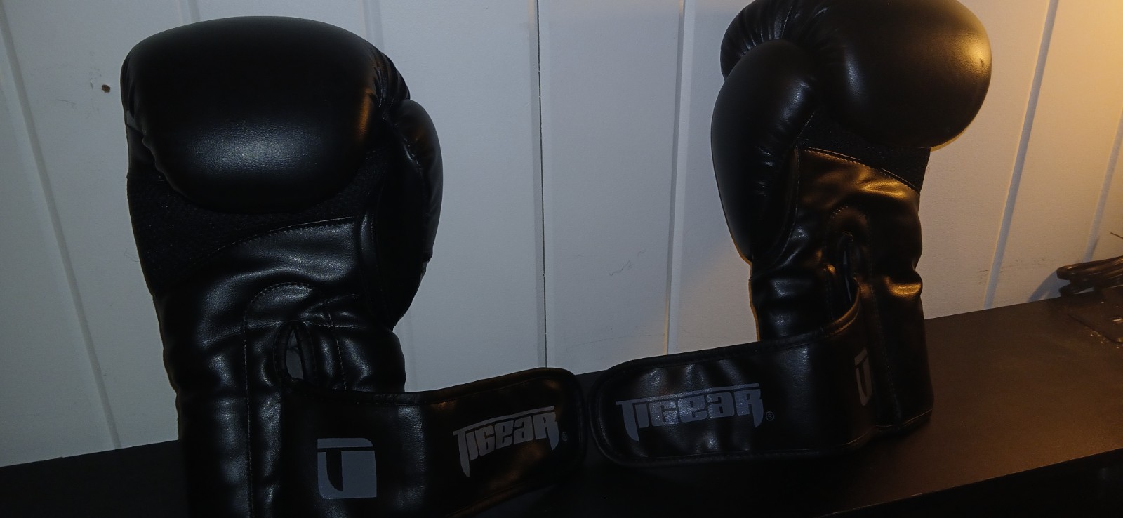 Boxing Gloves 12 oz