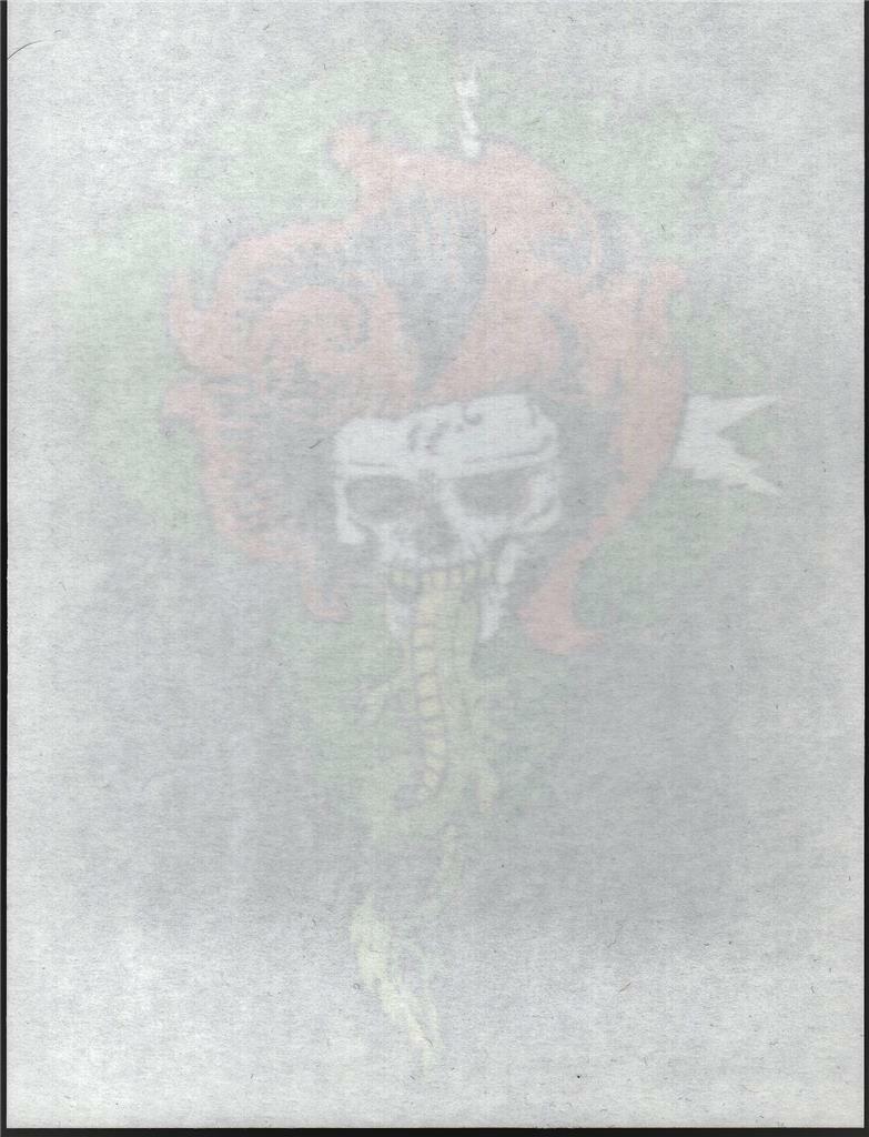 Vintage 90s Grateful Dead Car Window Tour Sticker/Decal - Skull with Orange Hair