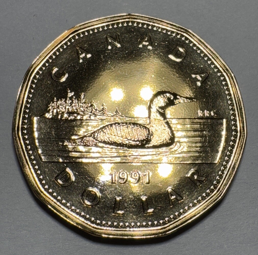 1991 Canada Proof-Like "Canadian Loon" $1 Dollar Loonie Coin from RCM Set. Nice!