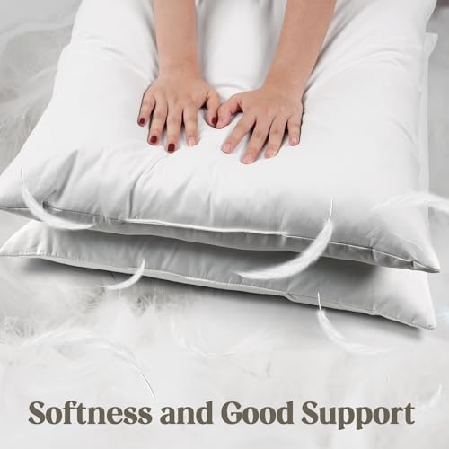 Throw Pillow Inserts 20'' x 12'' Set of 2, Down Feather Decorative Pillows,