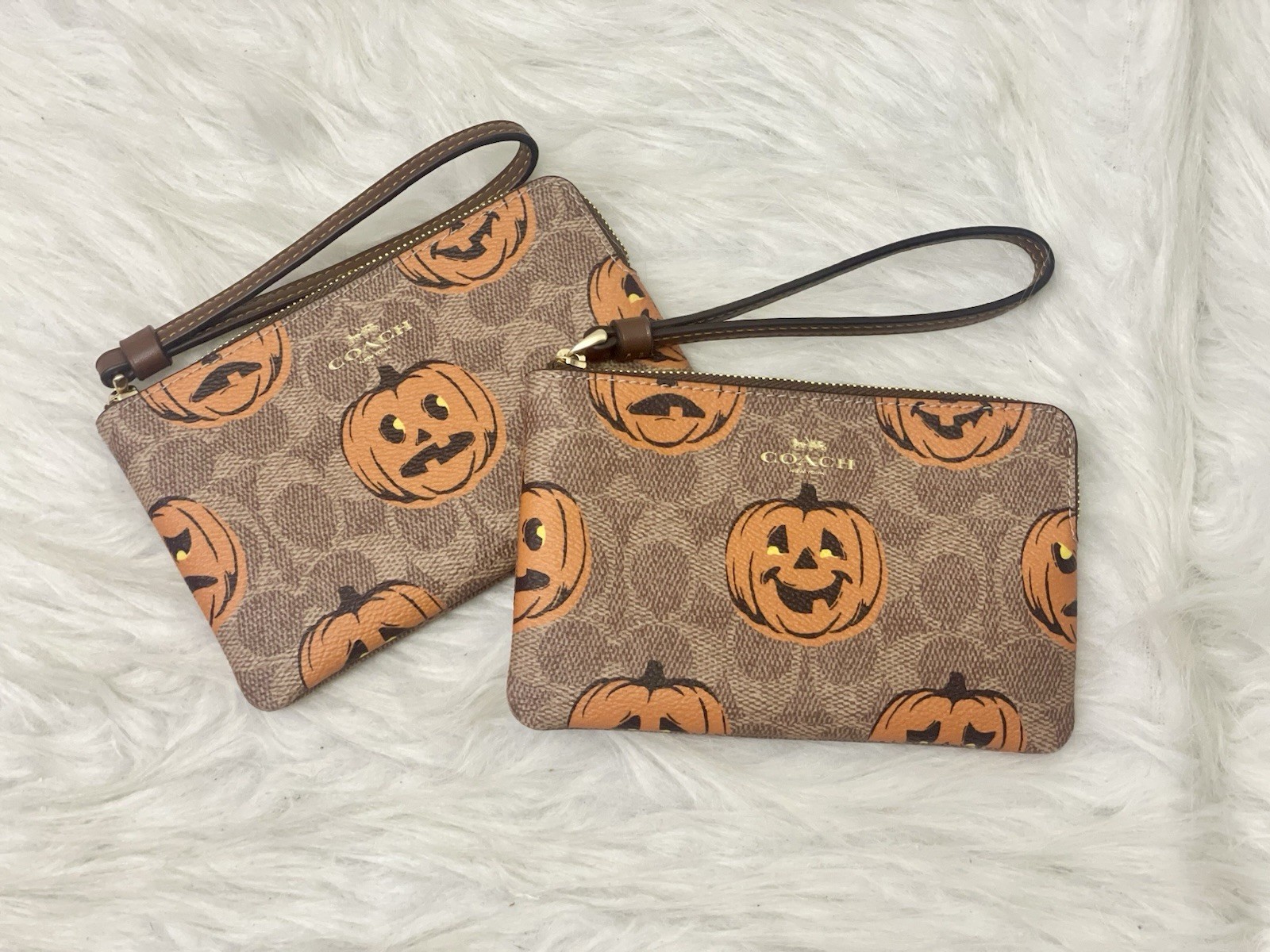 NWT Coach Corner Zip Wristlet In Signature Canvas With Halloween Print CCL20