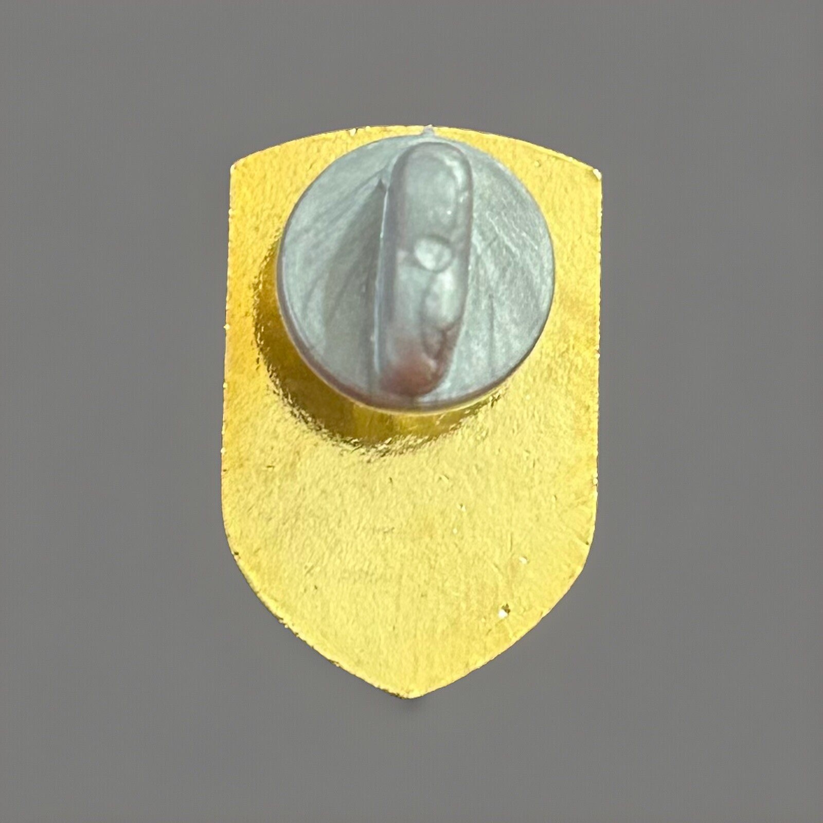 MIKE FORCE AIRBORNE PIN SPECIAL FORCES VIETNAM WAR