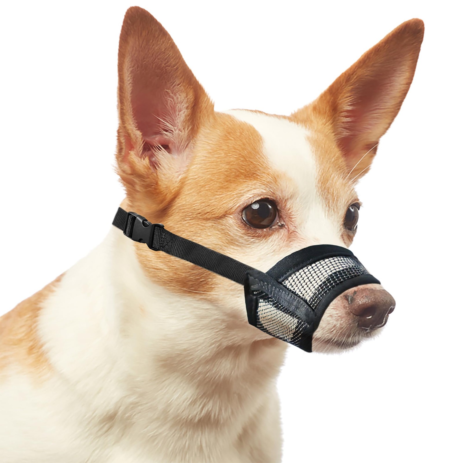 Dog Muzzle for Small Dogs Soft Air Mesh Adjustable Barking Biting Prevention