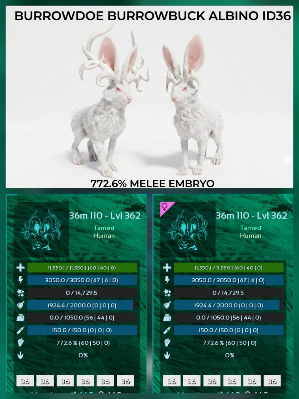 BURROWBUCK BURROWDOE - Top Stats - Embryo - Ark Ascended PVE Official Crossplay