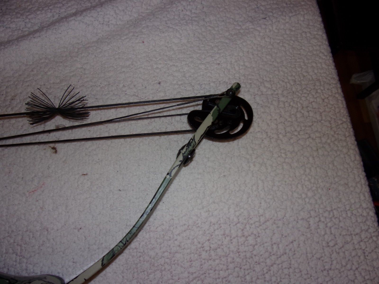 Proline Riptide Compound Bow