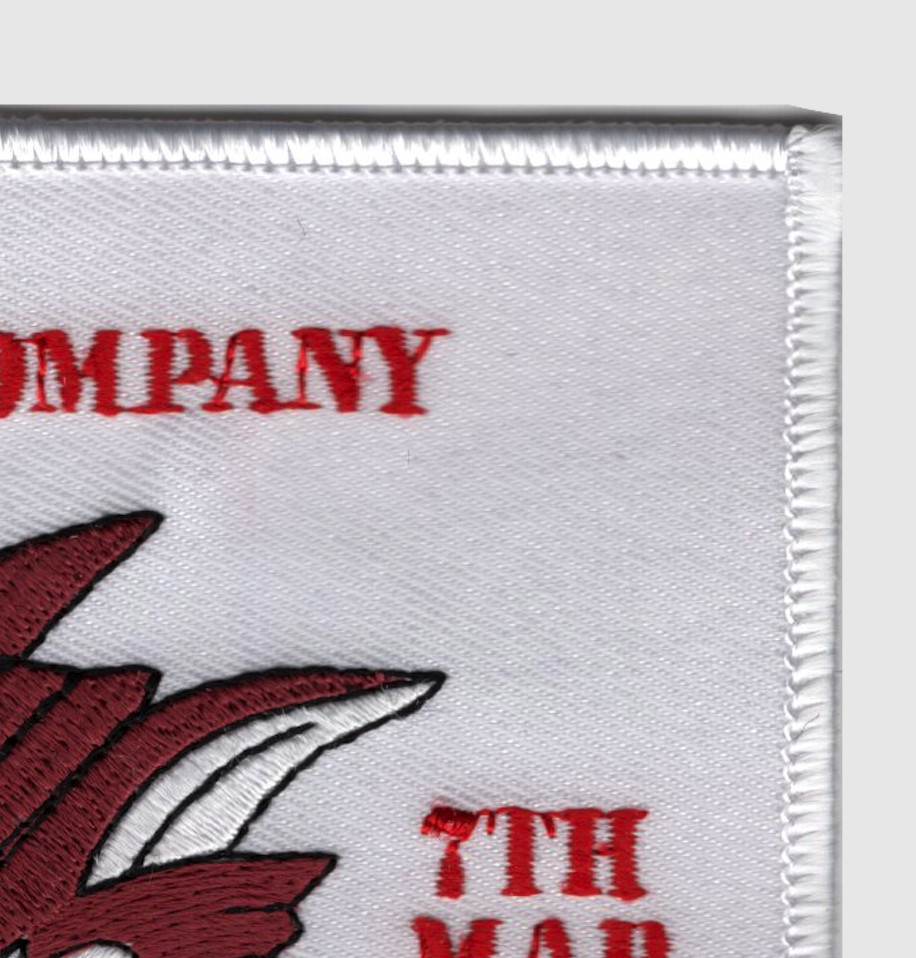 Fox Company Second Battalion 7th Marine Patch Ready For Anything Counting On