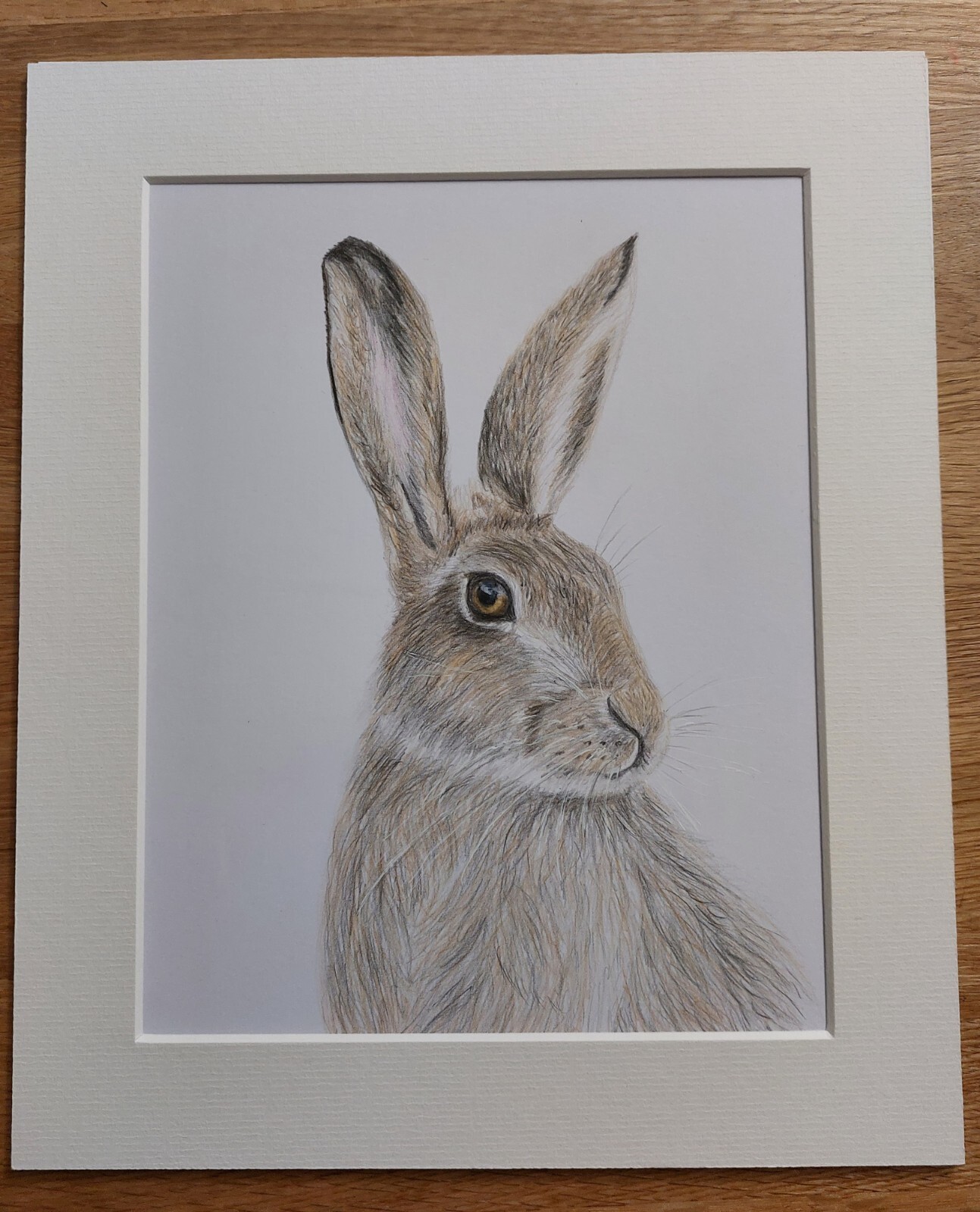 The Hare Limited Edition Print