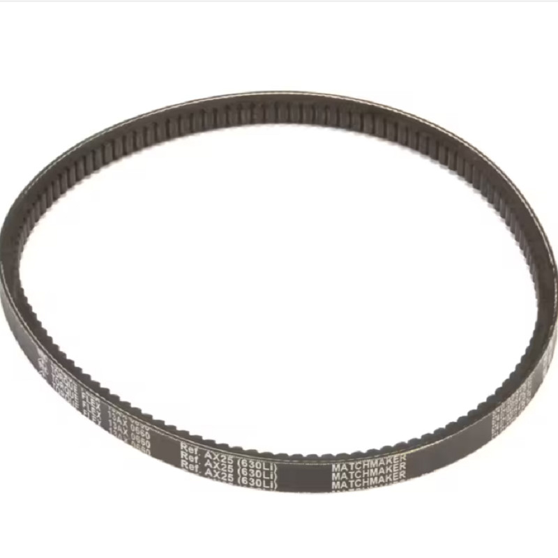 Carpigiani 674 07102015 4162 Belt Tooth AX25 13AX 0660 for K3B