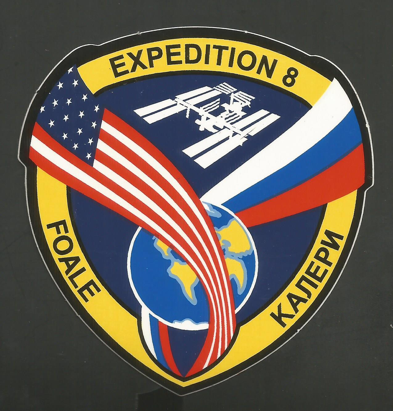 NASA EXPEDITION 8  DECAL STICKER 4"