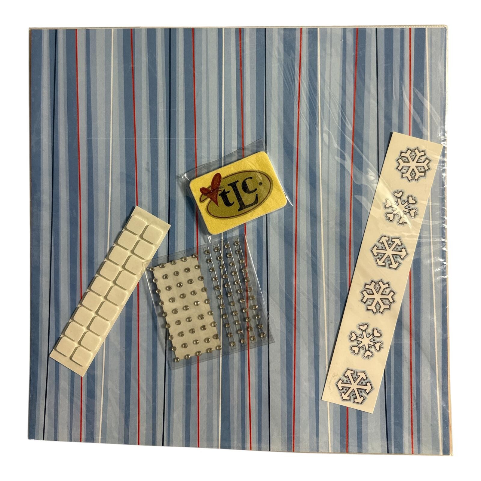 TLC 2007 Snowman CD Holder Craft Kit New With Tags