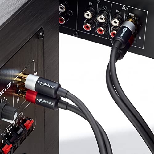 Amazon Basics 2 RCA Audio Cable for Amplifier,Active Speakers 15 Feet, Black