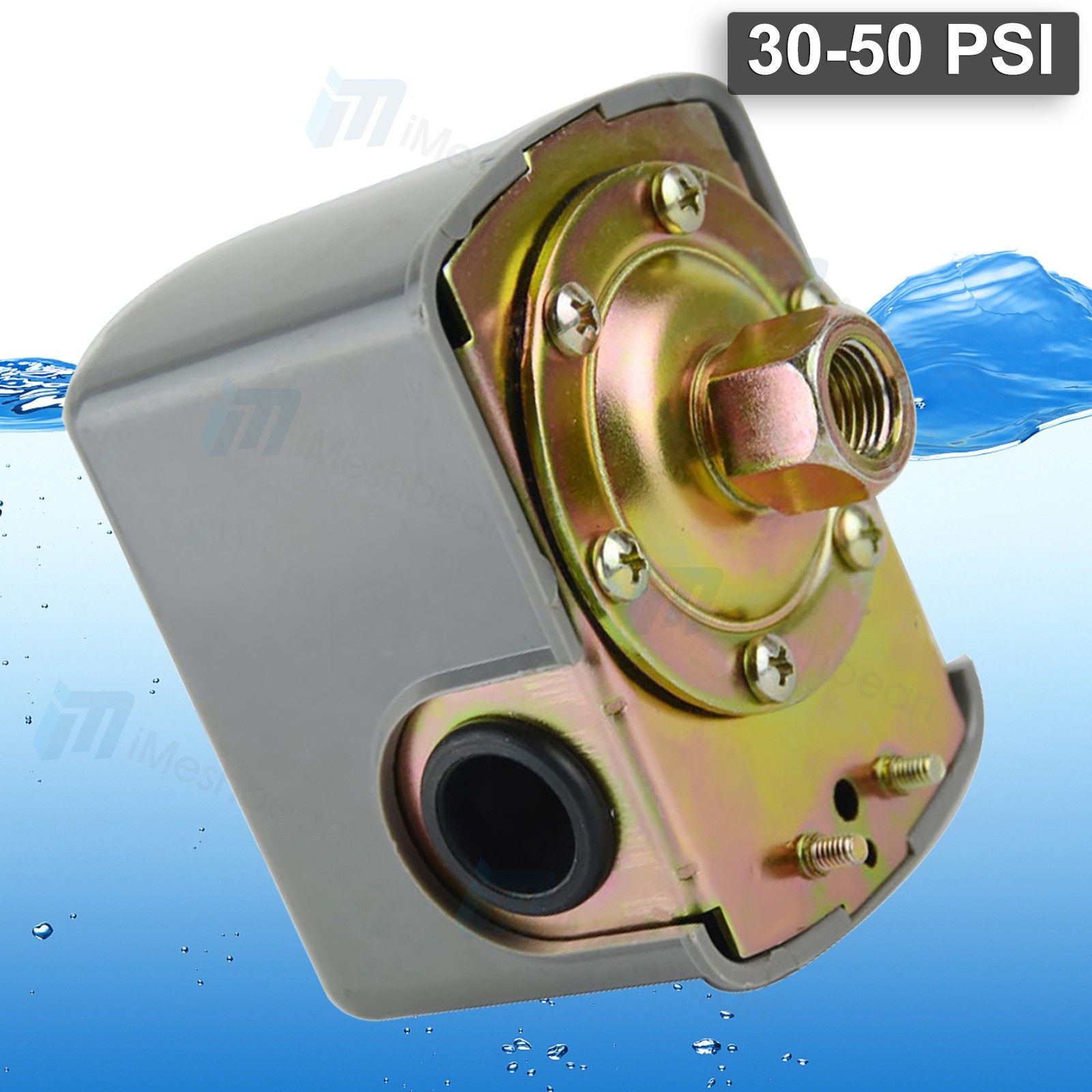 30-50 PSI Well/Water Pump Pressure Control Switch Adjustable Double Spring Pole