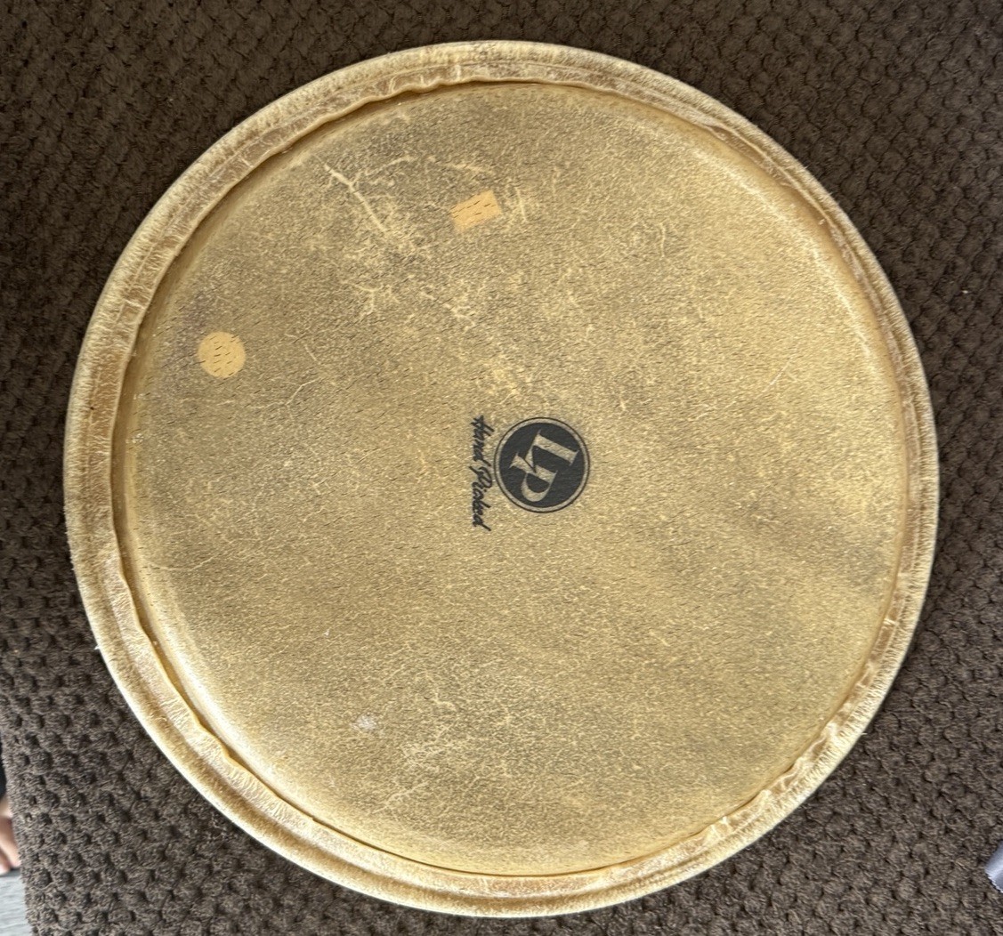 LP Conga Drum Head size 12.5 inches