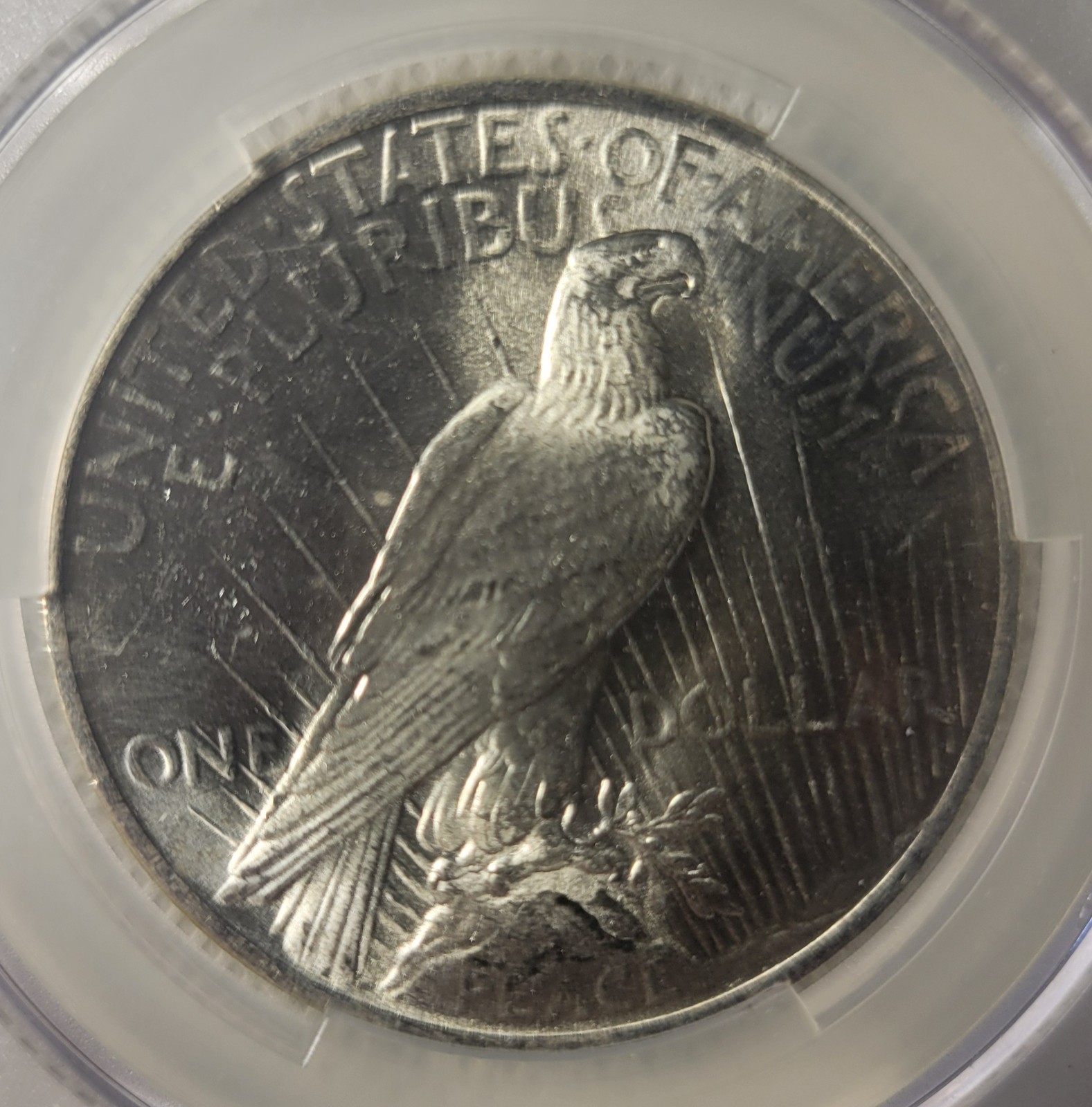 1922 silver peace dollar CACG MS 62