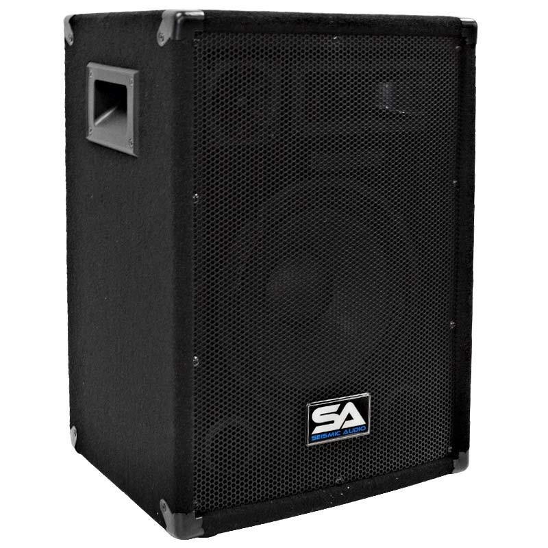 SA-10 Pro Audio 10" PA DJ Speaker Cabinet Main Speaker