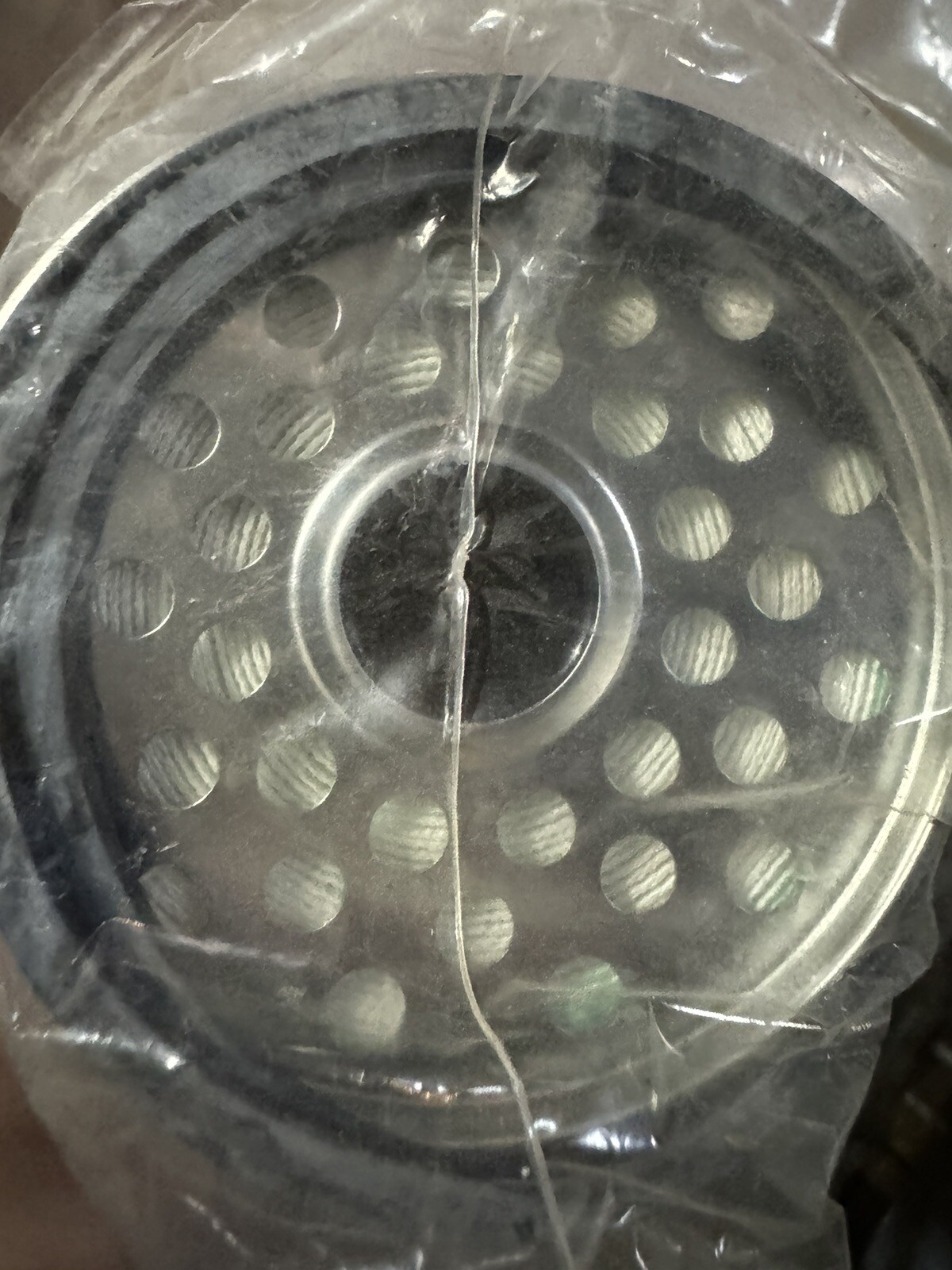 Filter Insert