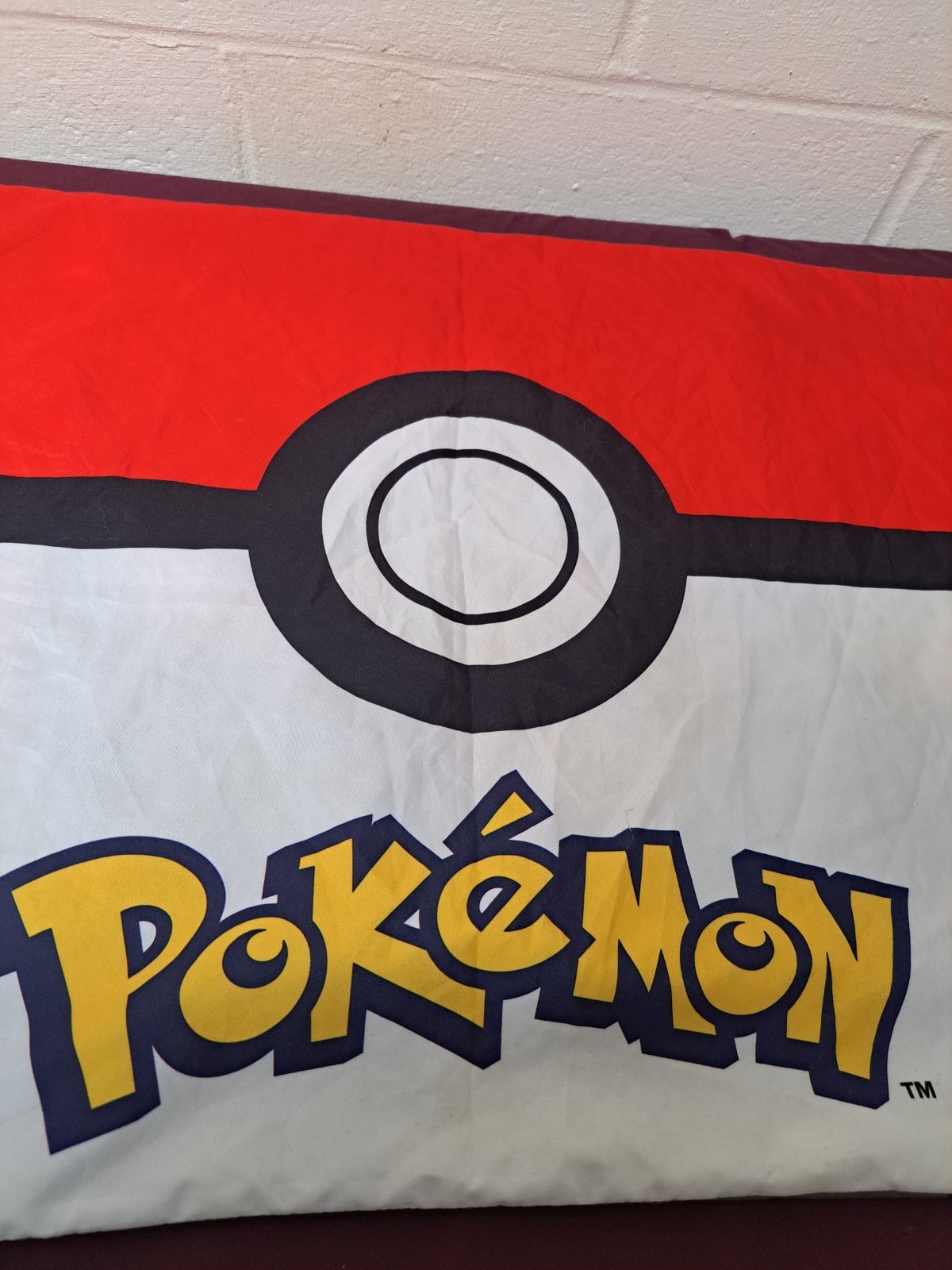 Pokemon And Friends Standard Size Pillowcase