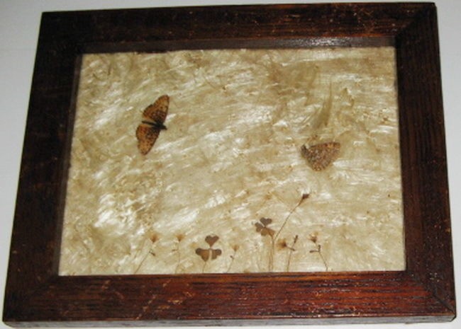 Antique Butterfly Theme Natural Mixed Collage Milkweed clover and Butterflies