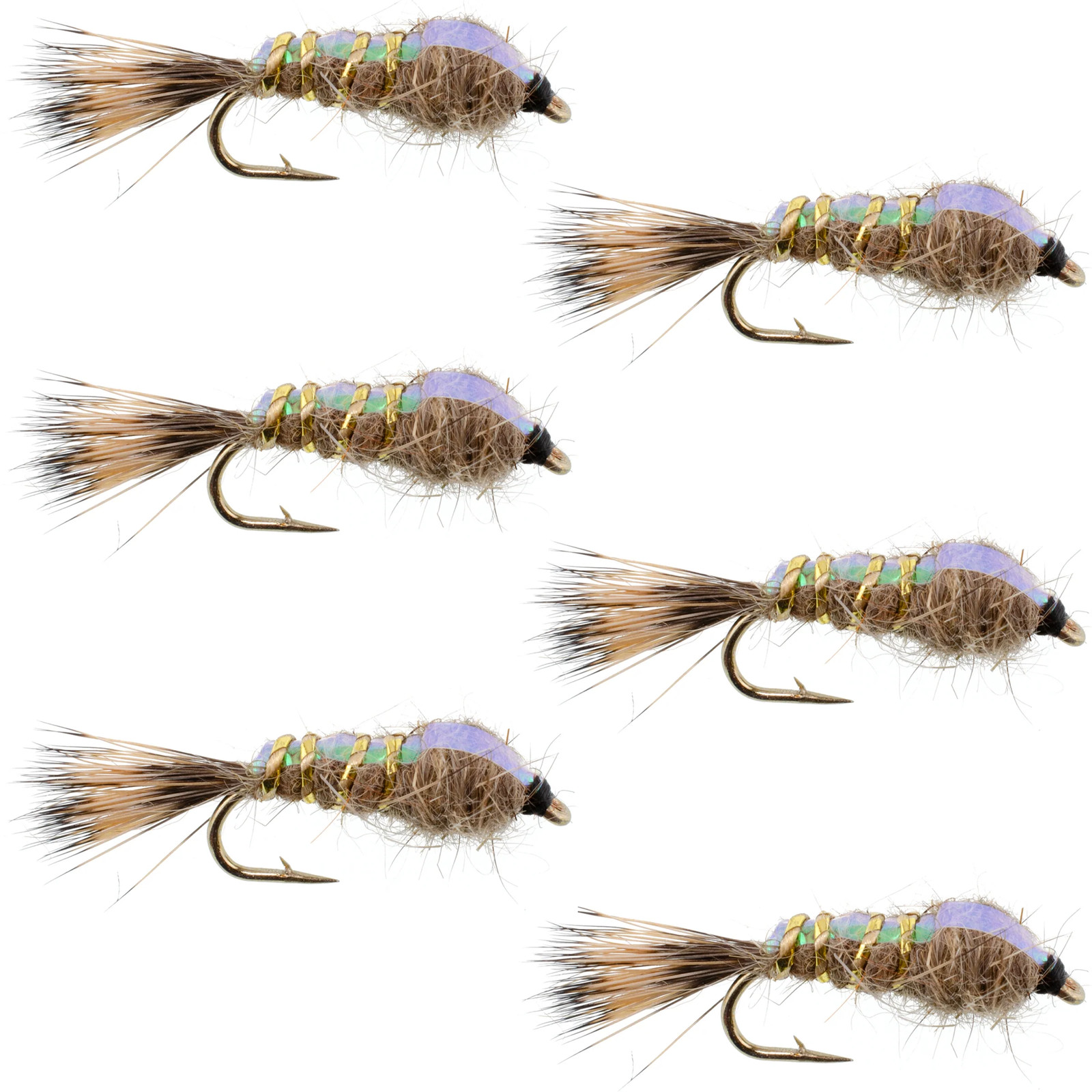 Weighted Flashback Gold Ribbed Hares Ear Nymph - Set of 6 Flies - Size 16