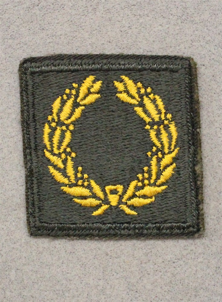 Cloth Army Badge 022: Meritorious Unit Award, 1st Award - on AG