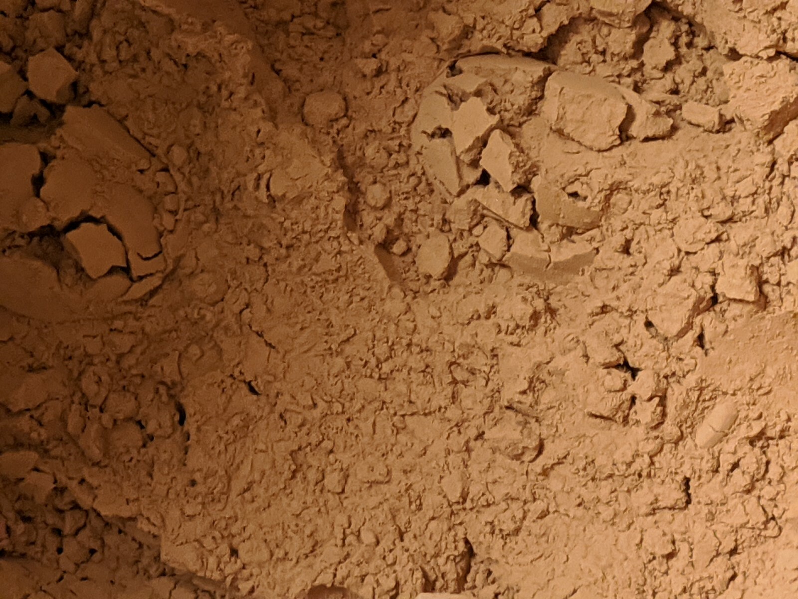 Tannic Acid - 100 grams