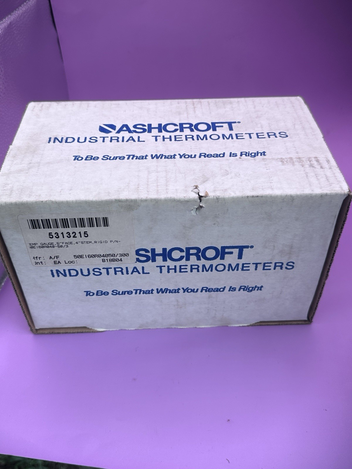 ASHCROFT 50 EI 60R 040 50/300F