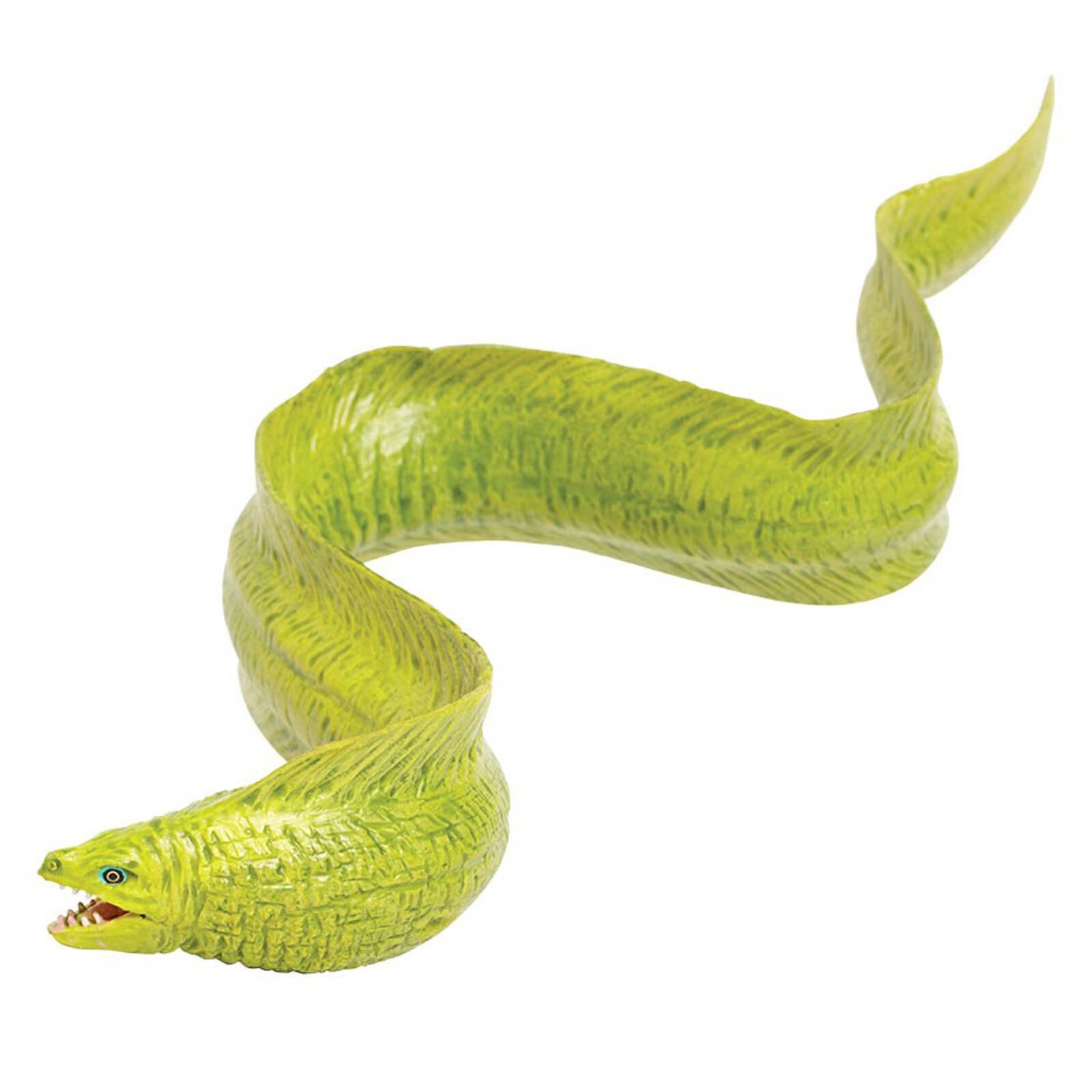 Moray Eel Incredible Creatures Figure Safari Ltd NEW