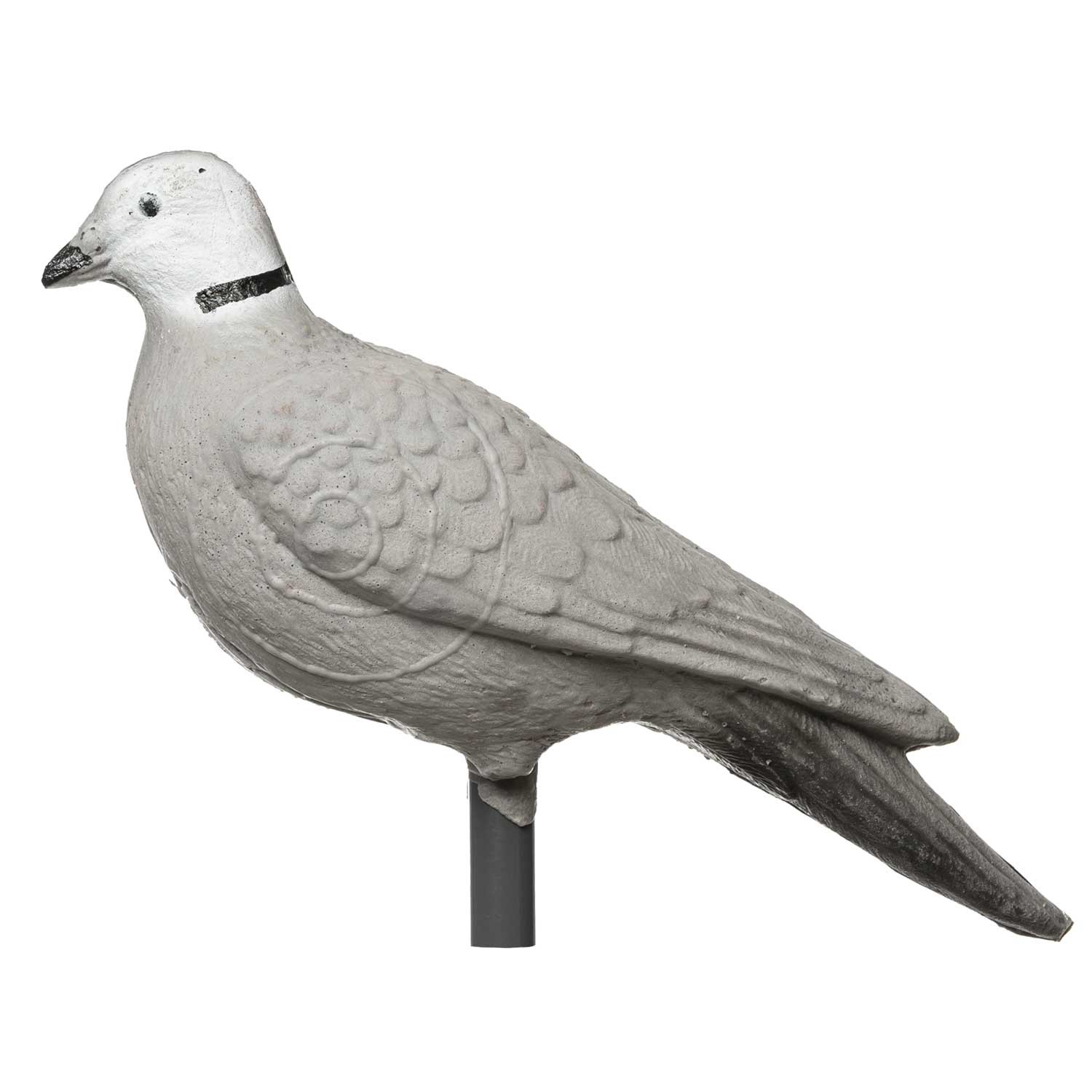 IBB 3D Animal Pigeon