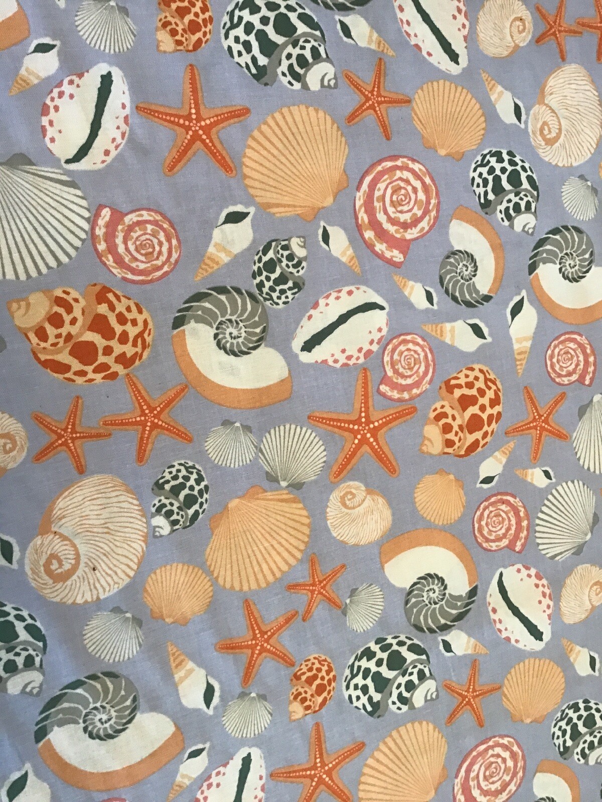Fabric Seashell Cabana 5973, sold by the yard