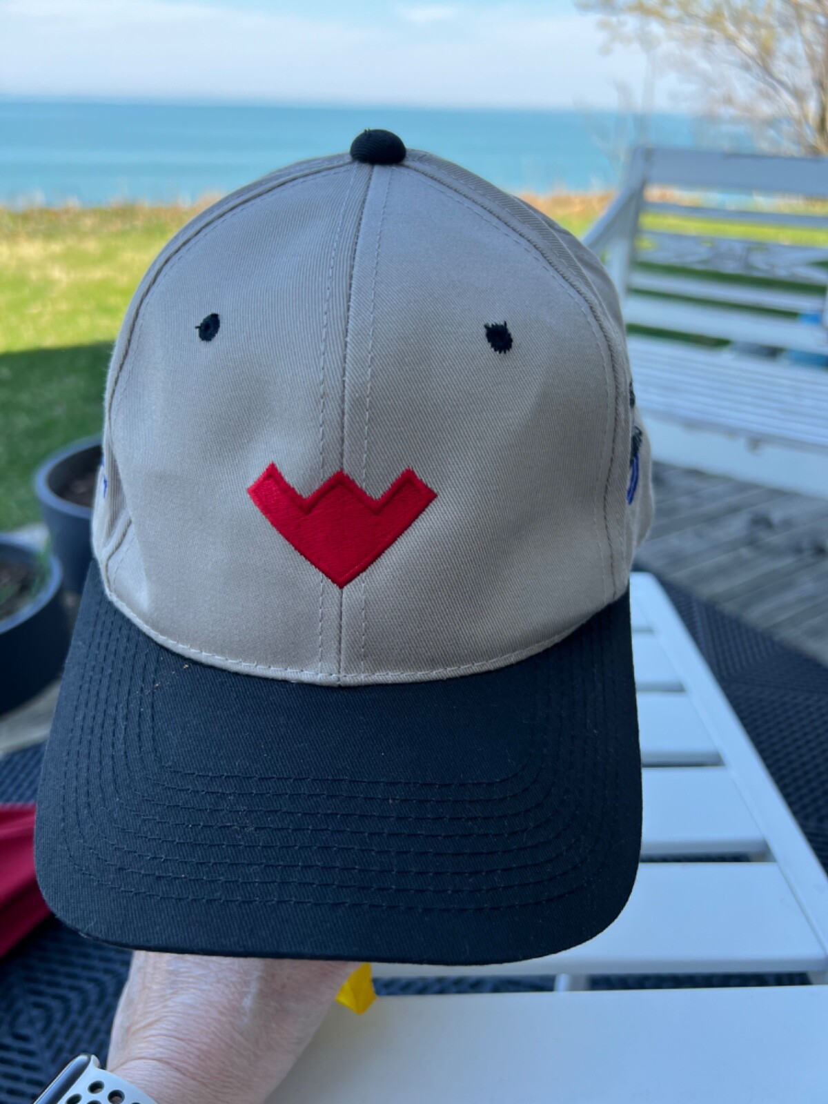 Devils Tower Pioneer Williams Dominion Rig Tan Hat Cap Snapback