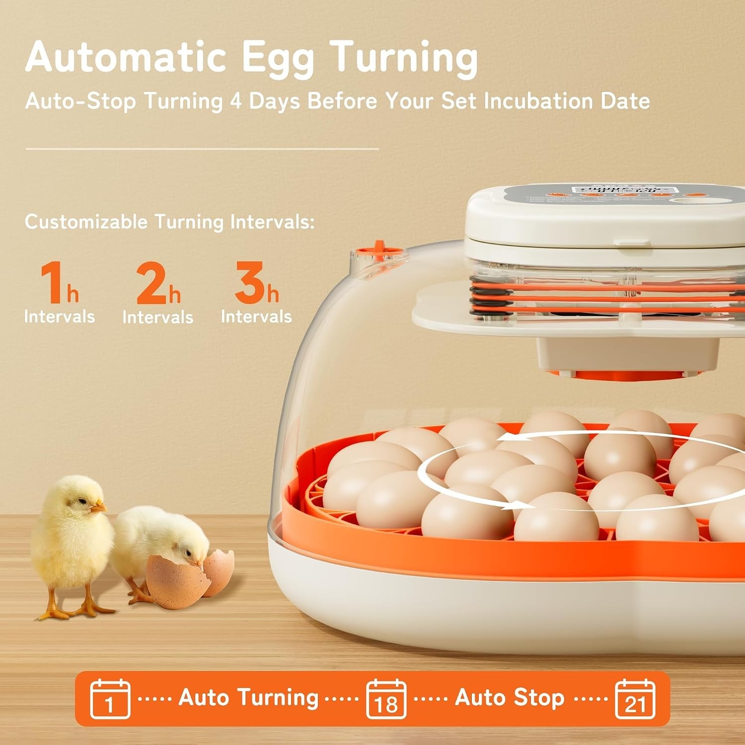 HatchPro 25 Egg Incubator - Automatic Turning, Precise Temp & Humidity Control