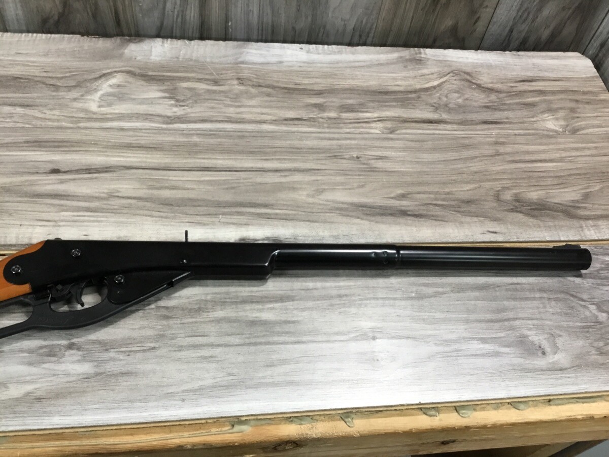 DAISY BUCK (PSL035561)