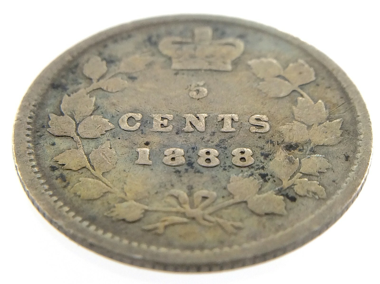 1888 Canada Five Cents Small Silver Canadian Circulated Victoria Coin M813