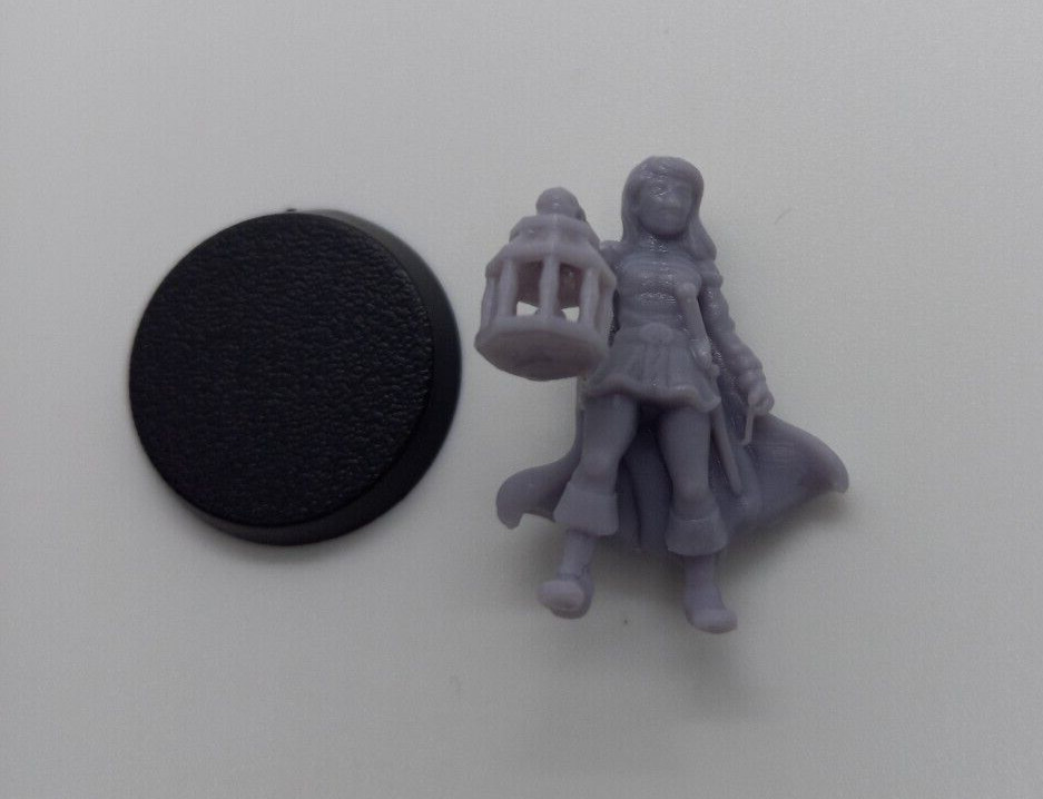 Dungeons & Dragons Female Adventurer 3D Printed Resin Model Fantasy Roleplay