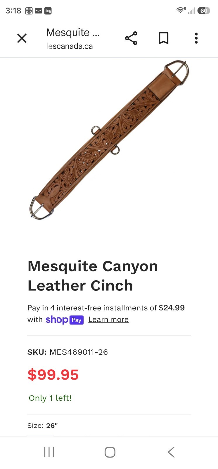 30" mesquite canyon cinch