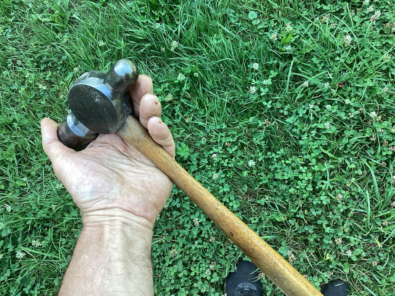 Super nice Farriers horseshoeing blacksmith clipping hammer ￼