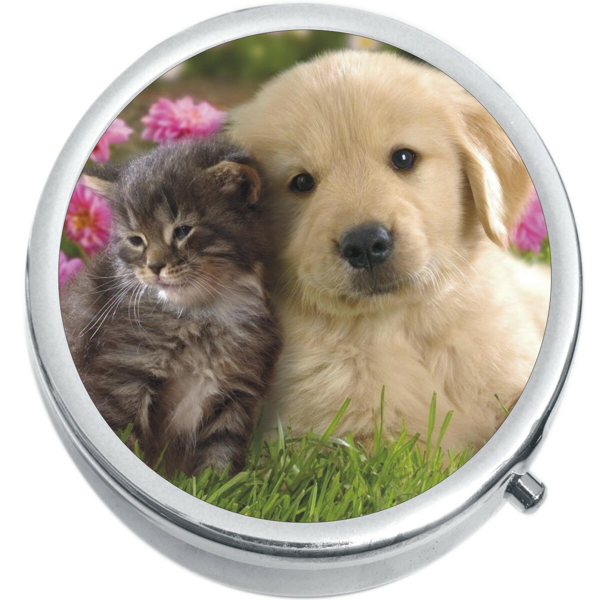 Puppy Kitty Medicine Vitamin Compact Pill Box